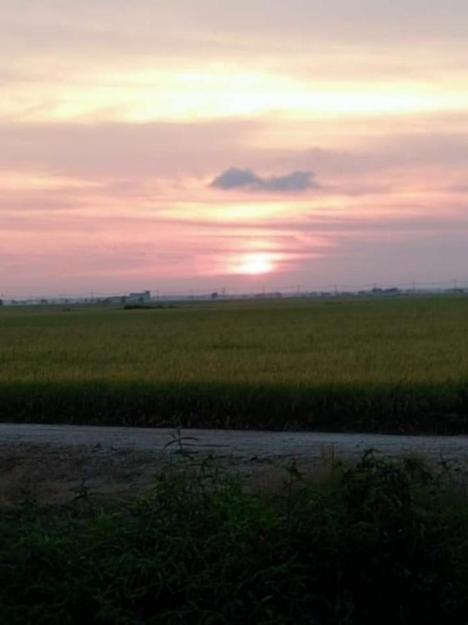 Windmill Sunrise Paddyview Homestay Sekinchan Kültér fotó